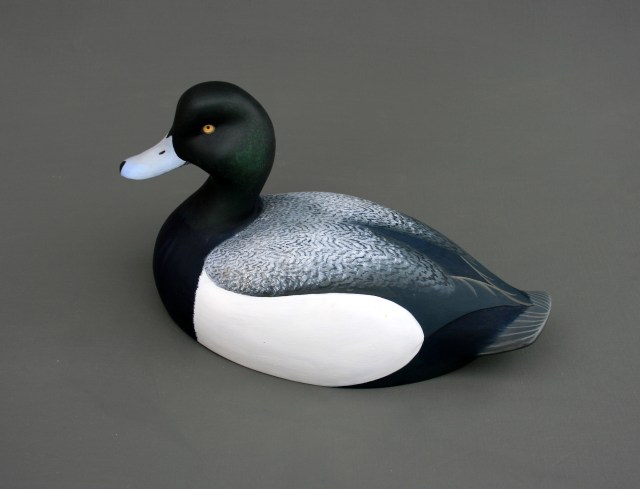 1 Broadbill - April 2014 + March 2015