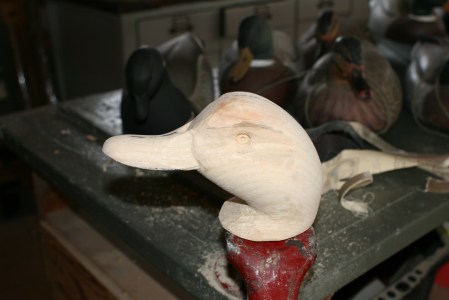 5. This Drinker will become a Mallard