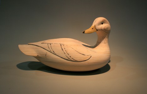 67. Whole bird - starboard view.