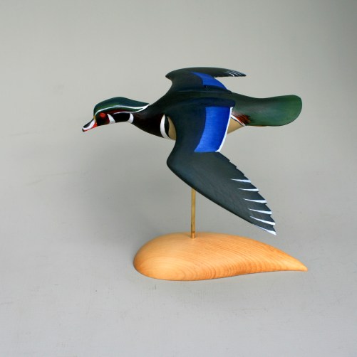 ASA - Wood Duck 2