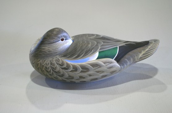 Bluewing Hen Sleeper - Sptember 2013 - Stbd