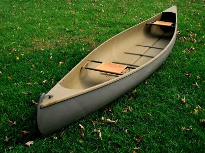 Canvasback - Interior - small adjstd