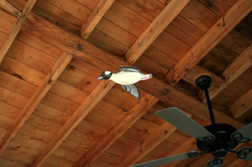 Champlain Butterball