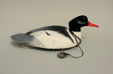 Cork Common Merganser Drake