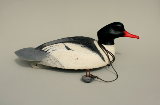 Cork Common Merganser Drake