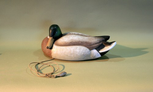 E Allen Mallard Drake