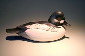 Goldeneye = 1983 - adjsted