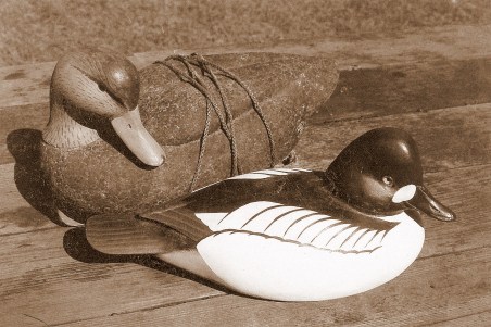 Goldeneye & Cork Black Duck