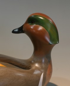 Greenwing Drake - April 2013 closeup