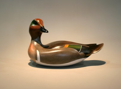 Greenwing Drake - April 2013