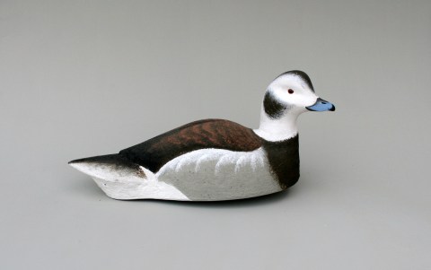 Hen Oldsquaw Foamer B