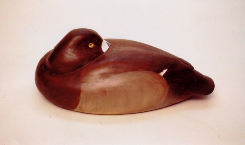 MacMillan Broadbill Hen - circa 1986