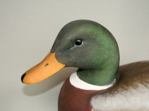 Mallard - gunner 1 closeup