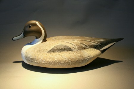 McDuffie Pintail 2011