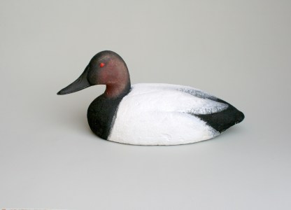 Model 72 Canvasback Drake - 20 March 2013