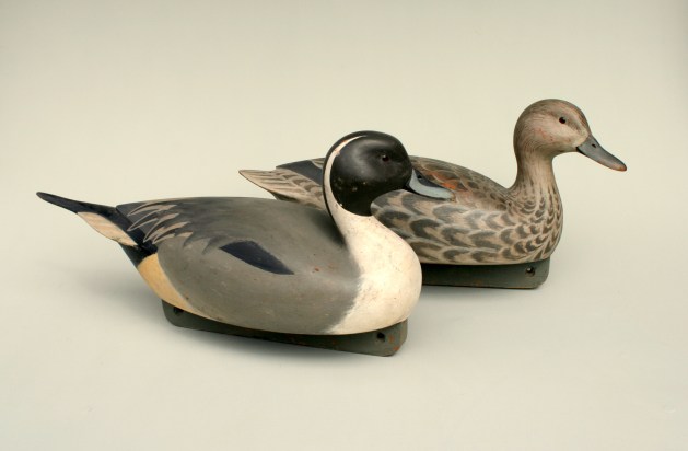 Pintail Pair - Gunners