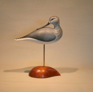 S J Sanford - Greater Yellowlegs