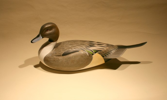 S J Sanford - Pintail