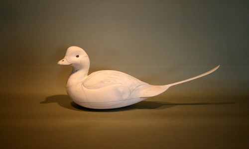 Sanford Oldsquaw - sanded