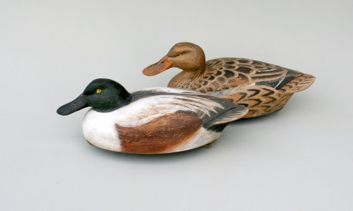 Shoveller Pair - Gunners