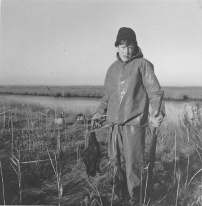 SJS First Black Duck - Connetquot River, October 1965