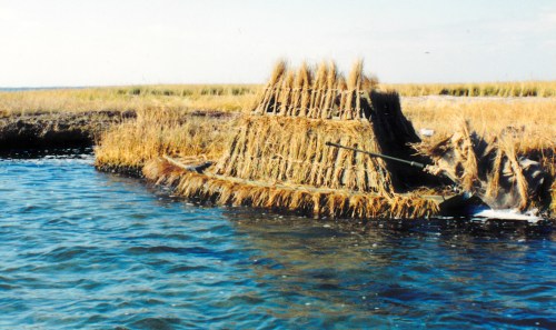 SJS Sneakbox + Blind - flaps up