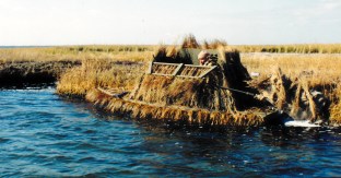 SJS Sneakbox + Blind - gunning flap down - lower