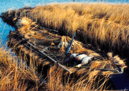 SJS Sneakbox - Moriches Bay early 90s