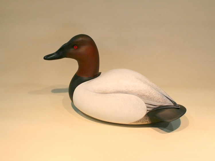 Tribou Canvasback - 28 January 2013