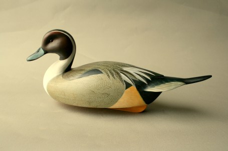 Wesner Pintail b-revised