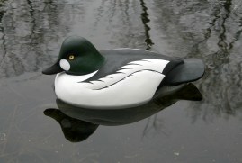 Whistler Drake - April 2013 - profile