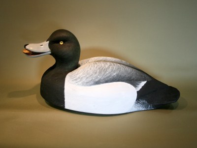 WS - Broadbill Senior 2013