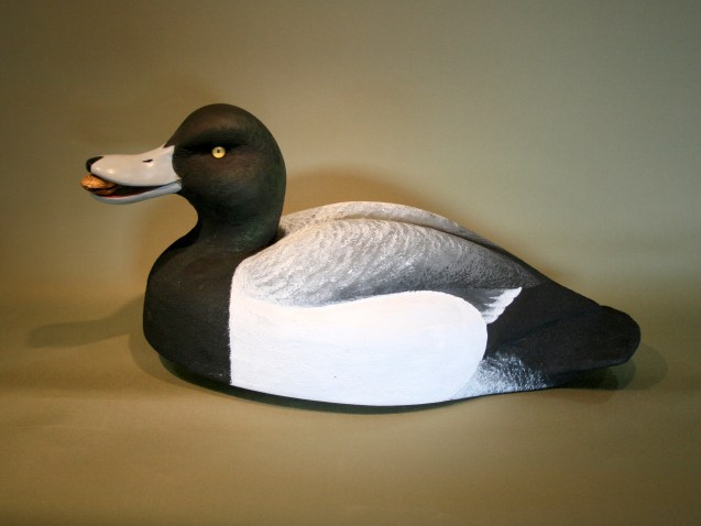 WS - Broadbill Senior 2013