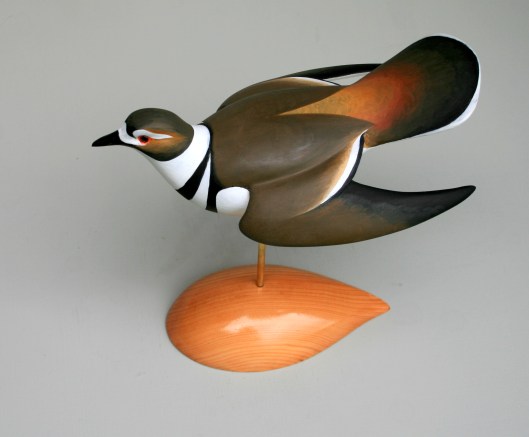 WS Killdeer 2014 - Dill