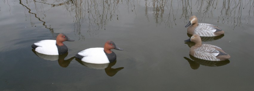 WS - Model 72 Cans - SJS 3-13