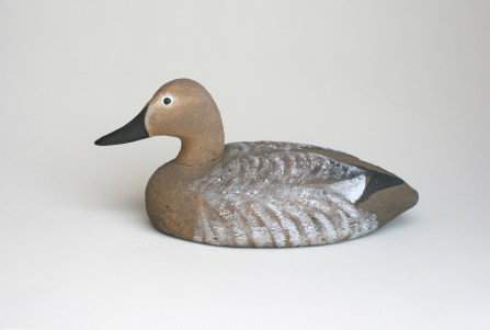 WS - Model 72 Canvasback Hen - 20 March 2013