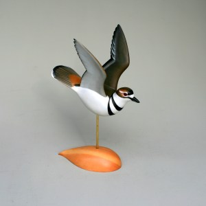 ASA - Killdeer 1