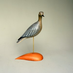 ASA - Upland Sandpiper 2