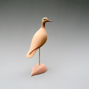 Sanford Steven Jay - Upland Sandpiper IN PROCESS