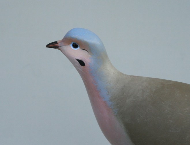 sm Mourning Dove 2 - closeup