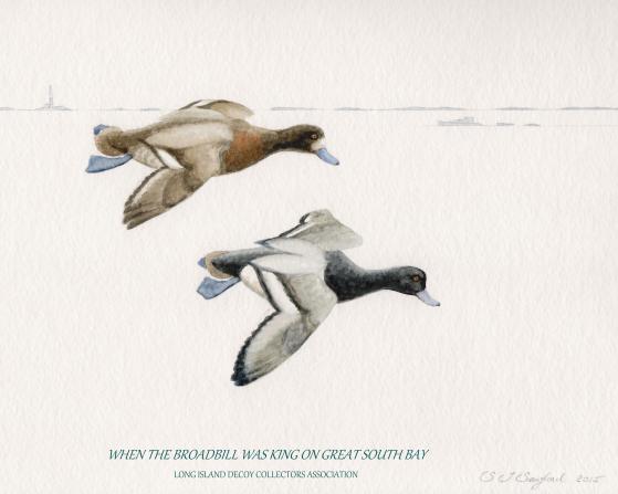 C - BROADBILL PAIR 4 - CAPTION