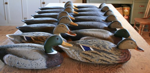 39 Fourteen - on bench 2