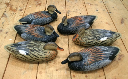 Six Gadwalls - shop floor