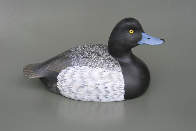 Mueller Broadbill 1983