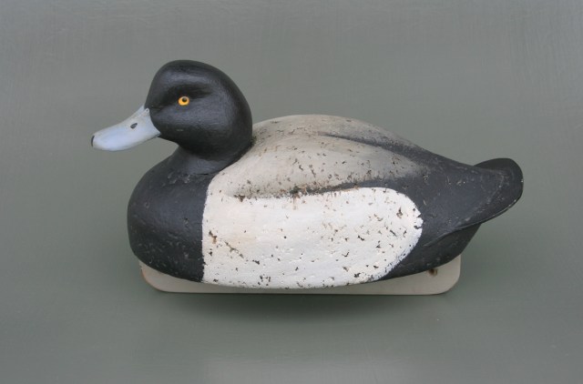 Sanford Broadbill 1995