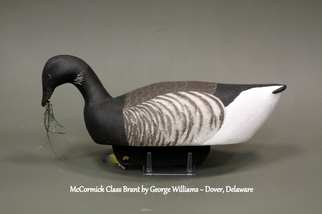 MBr03 George Williams