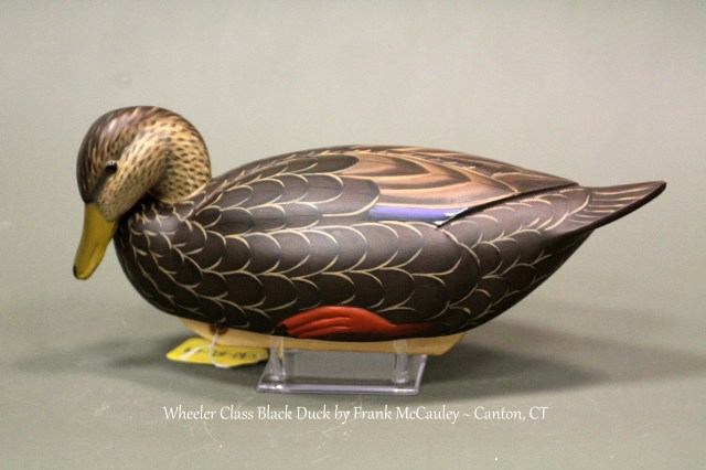 WBD04 Frank McCauley