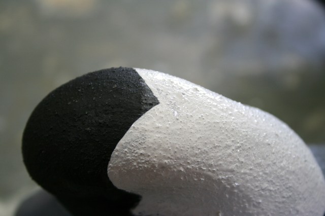 10 Drake head patch C