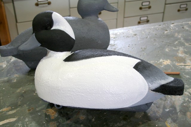 13 Drake head &amp; back &amp; rump