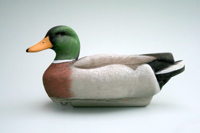 d-35-homer-mallard-drake-portrait-1